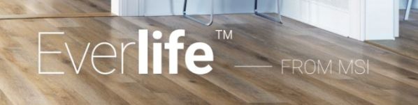 everlife_banner